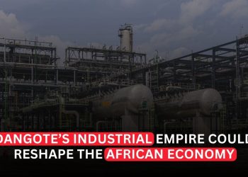 The Nigerian Industrial Behemoth That Could Reshape the African Economy