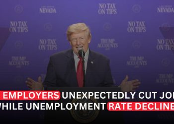 US Job Losses Signal Cooling Labor Market as Unemployment Falls Unexpectedly