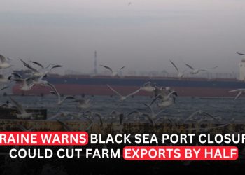 Ukraine Says Black Sea Port Closures May Halve Farm Exports