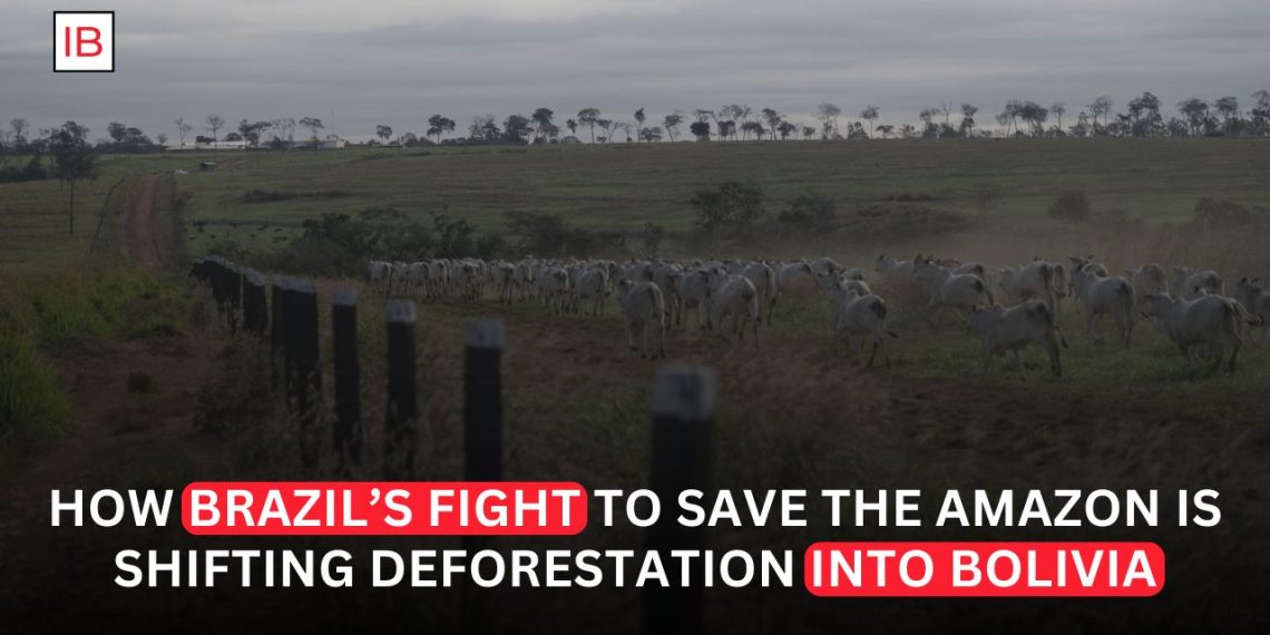 Why Deforestation Is Surging in Bolivia as Brazil Protects the Amazon