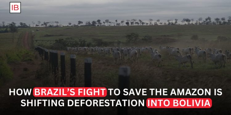 Why Deforestation Is Surging in Bolivia as Brazil Protects the Amazon