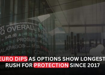Euro Dips as Investors Rush to Buy Protection Against Further Losses