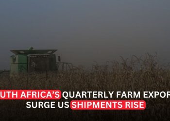 South Africa Farm Exports Surge as US Shipments Rise Ahead of Tariff Pressure