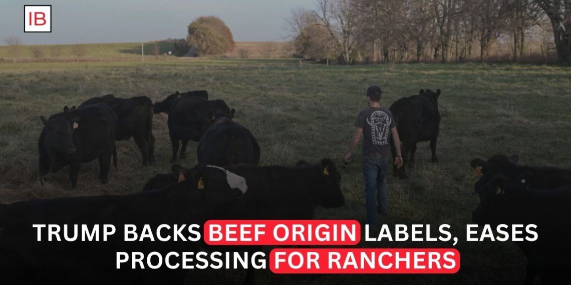 Trump Signs Order to Let Ranchers Process Their Own Beef in Push Against Big Meat Packers