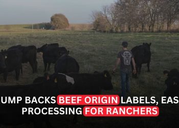 Trump Signs Order to Let Ranchers Process Their Own Beef in Push Against Big Meat Packers