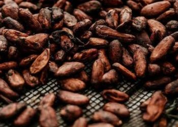 Cocoa prices climb on smaller deliveries