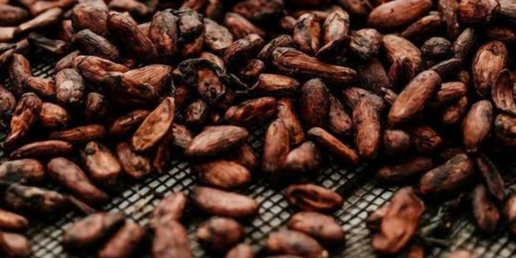 Cocoa prices climb on smaller deliveries